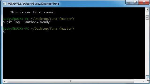 Git Tutorial 5 Adding Files and the Commit Log смотреть онлайн