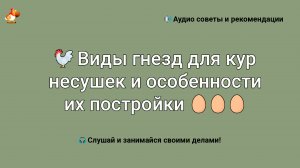 Виды гнезд для кур несушек и особенности их постройки