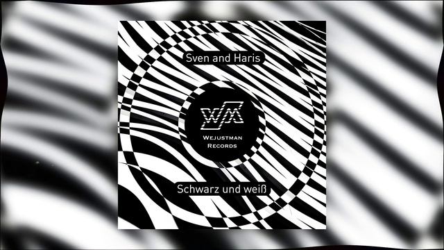Sven And Haris - Schwarz und Weiß | Techno - #HumanMusic смотреть онлайн