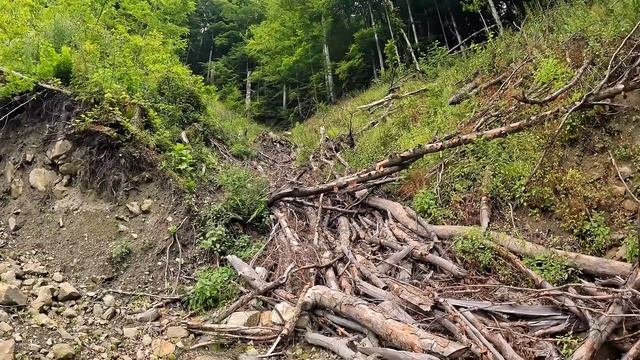 БЕДА! Травма у Хаски Рокки в горах ! смотреть онлайн