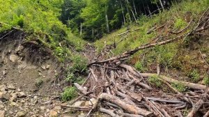 БЕДА! Травма у Хаски Рокки в горах !