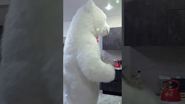 Поздравление от белого мишки в Оренбурге. 4 декабря 2022 г. смотреть онлайн