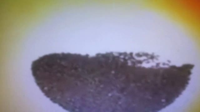 Чай "Беседа" смотреть онлайн