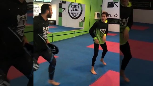 IRAN TAEKWONDO TRAINING смотреть онлайн