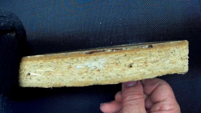 ТАКИЕ СЕКРЕТЫ ПОКА НЕ ЗНАЕТ НИКТО смотреть онлайн