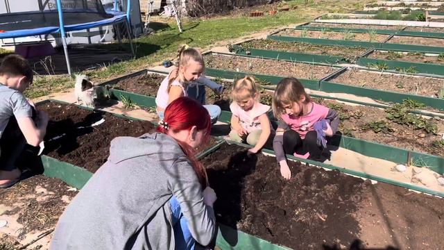 Радостные огородники, это - факт! В добрый путь! смотреть онлайн