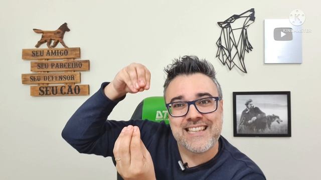 MELHORES RAÇÕES para cães e gatos obesos! | Ração cães e gatos смотреть онлайн