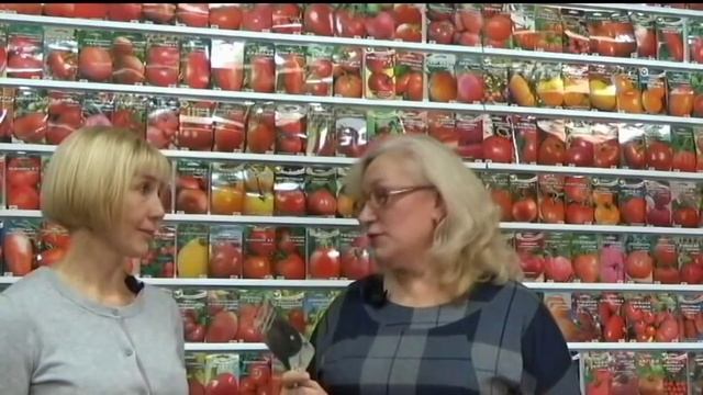 Агрофирма Сибирский сад. Любимые сорта агронома. Томаты, перец, баклажаны смотреть онлайн