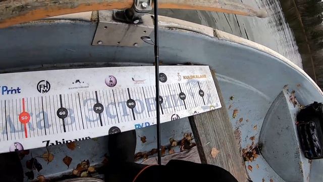Ловим Щук на Frapp Flint 5 inch и Keitech Easy shiner 4 5 inch рыбалка на секретном Озере смотреть онлайн
