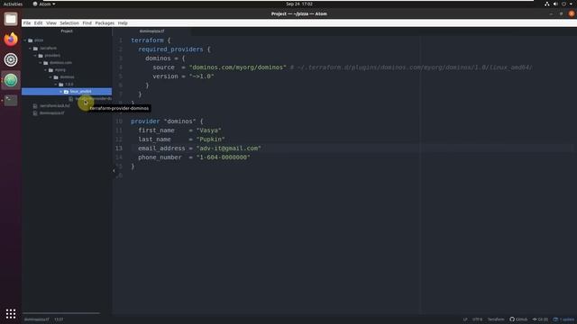 Заказать ПИЦЦУ используя Terraform Custom Provider Domino's Pizza - Голодный Девопс смотреть онлайн