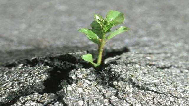 Интересное кино смотреть онлайн