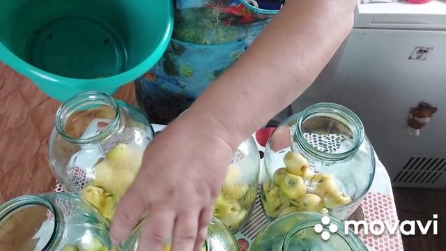 Кабачки как Ананасы/ Компоты/прогулка по магазинам/ смотреть онлайн