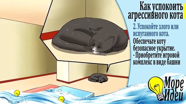 КАК УСПОКОИТЬ КОТА. Злится = Боится? смотреть онлайн