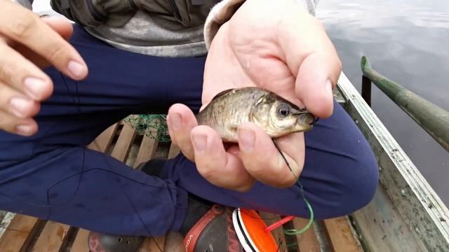 РЫБАЛКА ! ЛОВИМ ЩУКУ на КРУЖКИ ! смотреть онлайн