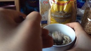 Как сделать мешанину хомячку/вкусный корм для хомяка???