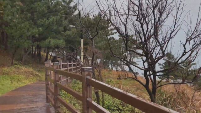 Korea ~ JEJU ISLAND | Остров Чеджу