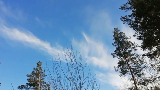 Природа и стихи смотреть онлайн