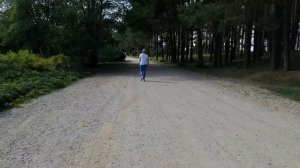 Дорога на Нудистский пляж в лесу недалеко от Минского моря. Беларусь. ВСЁ ЗА БЕСПЛАТНО!!! ДО КОНЦА!