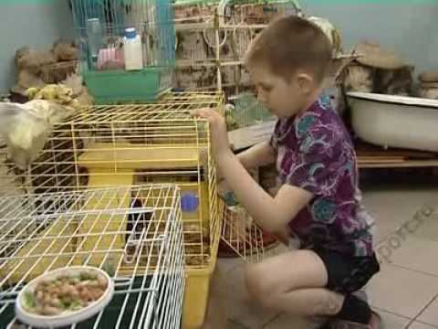 Влад смотреть онлайн