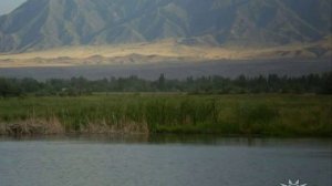 В КАЗАХСТАНЕ Я РОДИЛСЯ