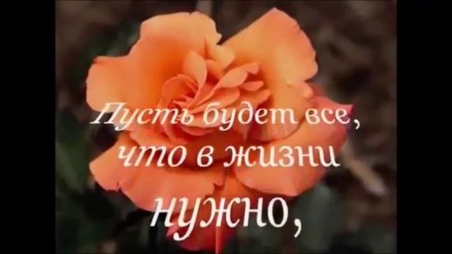 С днём рождения, Дима