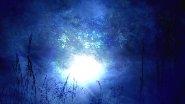 A Conscious Awakening - Kiirtan Shrii Shrii Anandamurtiji смотреть онлайн