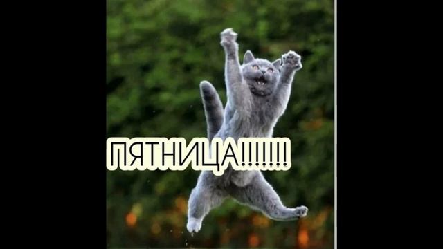 ПОСЛЕДНИЕ НОВОСТИ ЭТОЙ НЕДЕЛИ (МОЙ ОТЕЦ ПРОПАЛ!??!?) смотреть онлайн