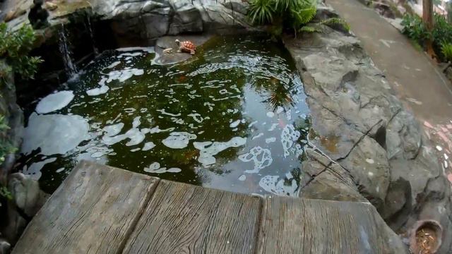 Пхи Пхи Вьюпоинт 1 и 2 Лето 2018 смотреть онлайн