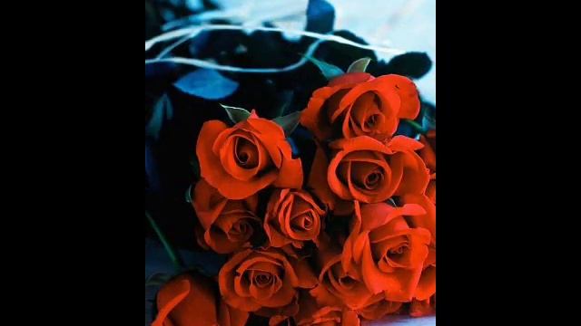 новогодний клип-поздравление для моих друзей смотреть онлайн