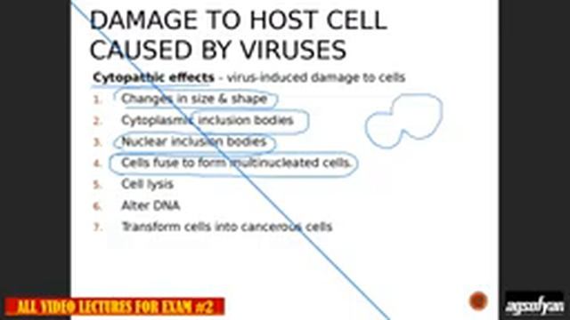 BIO 225: Exam 2 All Lecture videos Chapters 4, 5, 6, 24, and 25 смотреть онлайн