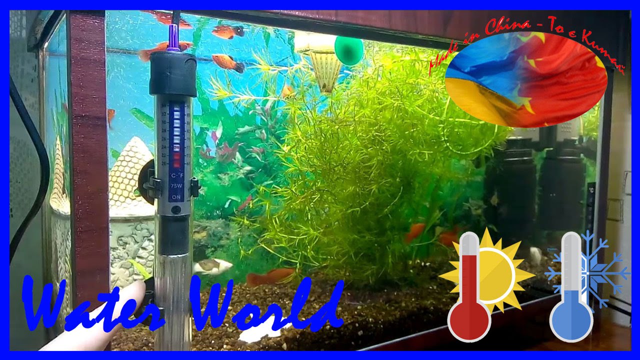 Обогреватель для аквариума! Обзор! Какой выбрать, именитый или смотреть онлайн