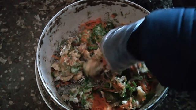 ВТОРОЙ ДЕНЬ МОРОЗОВ мой птичий уголок ПРОВЕРКА НА ЯЙЦЕНОСКОСТЬ