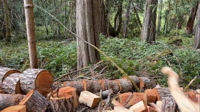 FIREWOOD EVERYWHERE. PRO MAC 10-10, BUCKIN' AND SPLITTIN' FIREWOOD смотреть онлайн