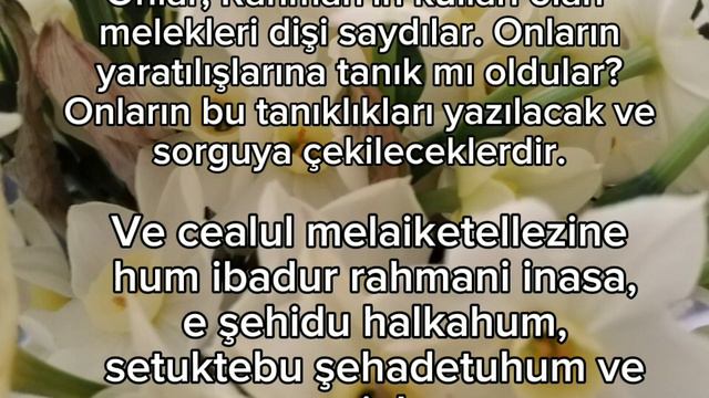 PAZARTESİ DUASI DİNLE 3-11 MART DİKKAT! RAMAZAN - I ŞERİF 'E KADAR MUTLAKA ZUHRUF SURESİ OKUYUN смотреть онлайн
