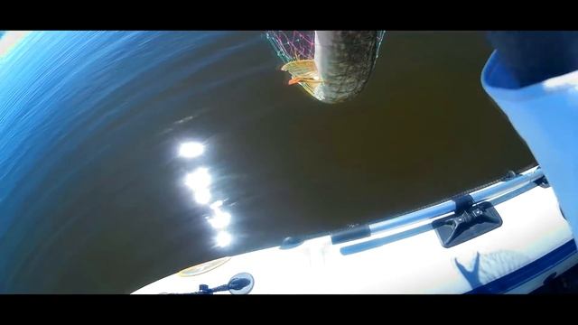 Ловля щуки на спиннинг летом 2018! Открытие с лодки 2018! Старый боец спас всю рыбалку смотреть онлайн