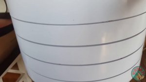 Яблочки. Заготовка яблок на зиму. Пастила из яблок. Компот. Сушёные яблоки.