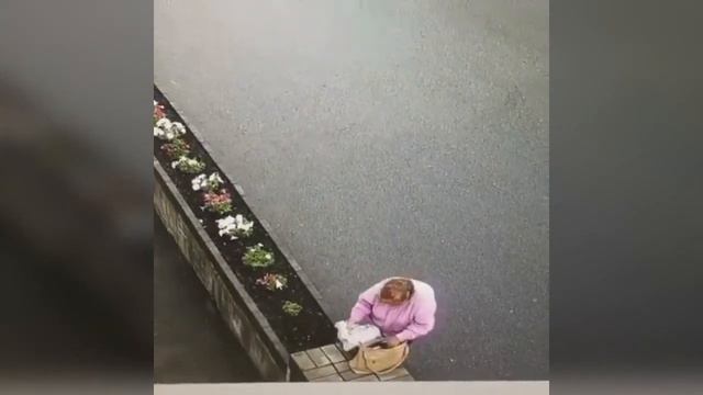 Бабушка присвоила себе цветы г. Владивосток смотреть онлайн