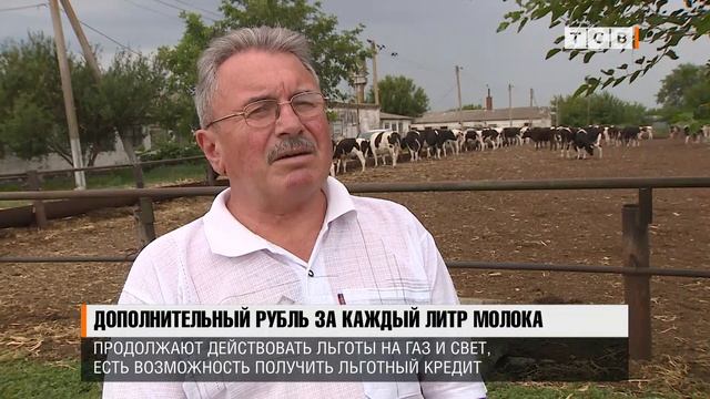 Дополнительный рубль за каждый литр молока смотреть онлайн