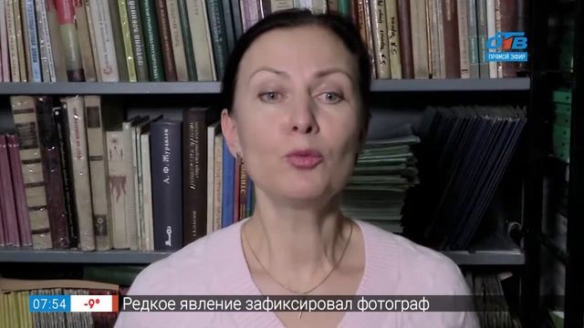 Простые правила – трEнеры или тренерА смотреть онлайн