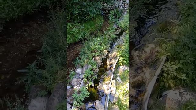 талеж смотреть онлайн