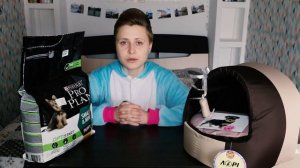 Что нужно щенку в первые дни? Как я готовлюсь к появлению йоркширского терьера, что купила для йорк