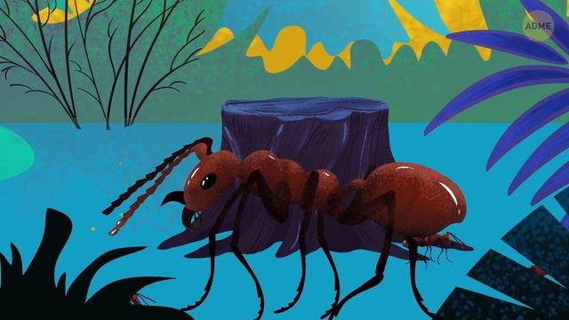 Самая тяжелая змея в мире и еще 17 монстров Амазонки смотреть онлайн