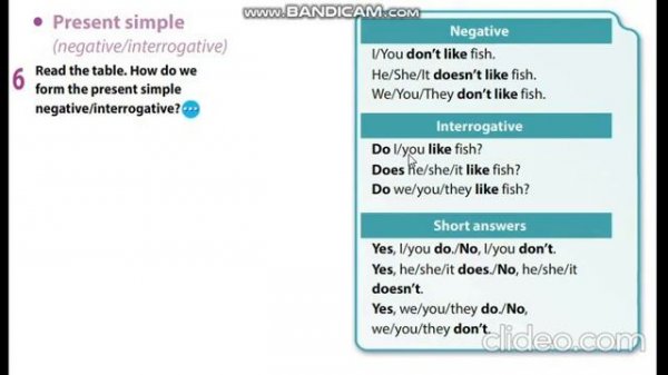 Excel 5 Module 3 Present Simple - Negative & Interrogative - Exercises