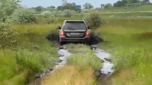 Subaru Forester   проходимость
