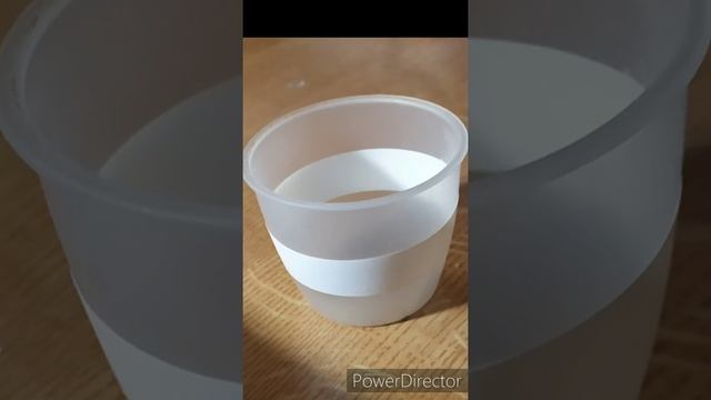 Уход за мопсом смотреть онлайн