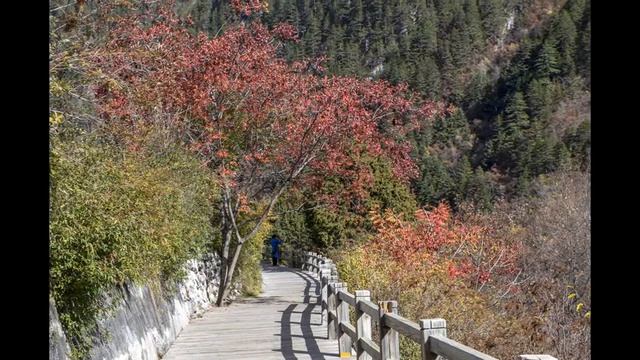 China Tour: Leshan - Emeishan - Chengdu - Jiuzhaigou