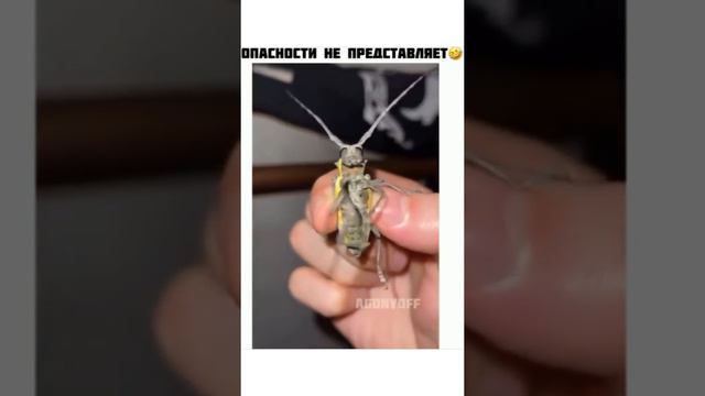 Внезапно смотреть онлайн