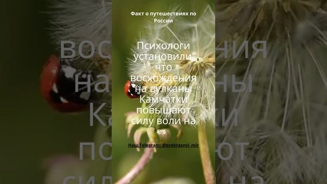 Путешествия по России смотреть онлайн