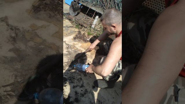 Гадюка на огороде 2014г. смотреть онлайн
