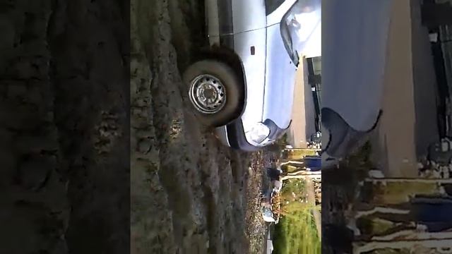 Чудо миксер))) смотреть онлайн